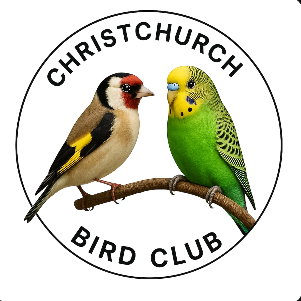 Christchurch Bird Club Circle Logo
